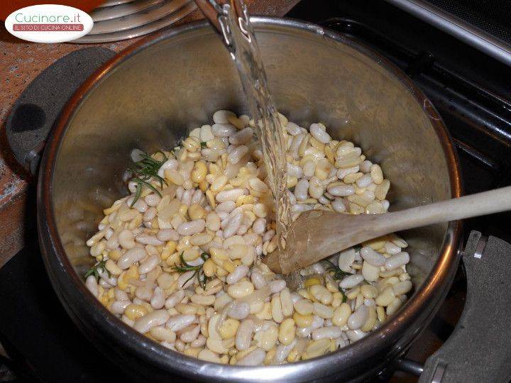 Minestra fredda con Caserecce, Fave e Fagioli aromatizzata al Rosmarino e Alloro preparazione 5